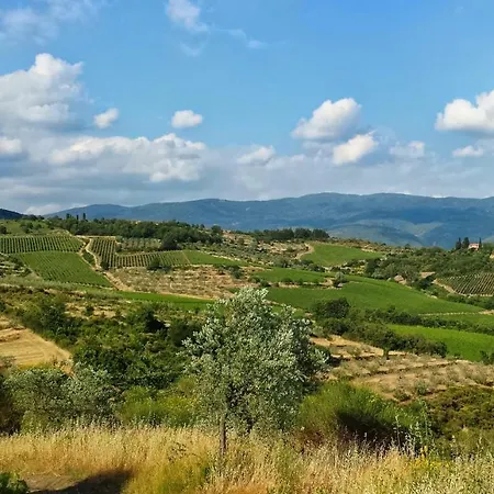 Bed & Breakfast Lavanda E Rosmarino