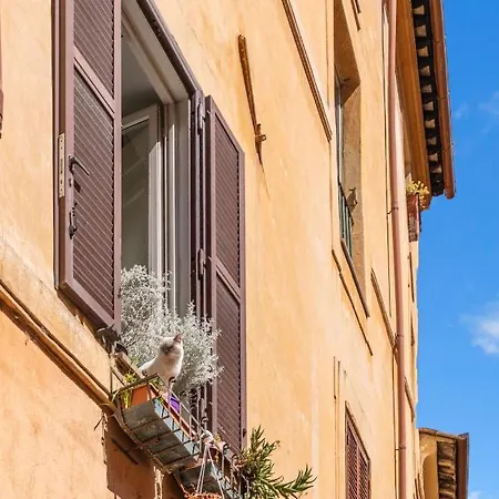 R.c. Cappellari Loft Campo De' Fiori Apartment Rom