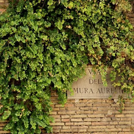 In Front Of The Vatican Apartment Rome
