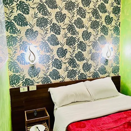 Magenta House * Roma