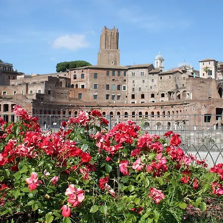 All Colosseo *