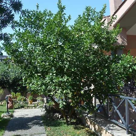 Maison d'hôtes L'oasi Delle Vigne