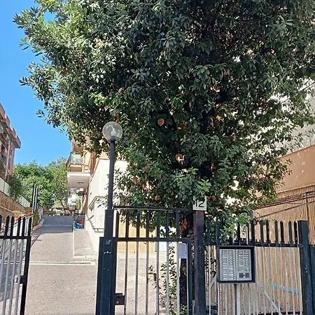 Ripoli *