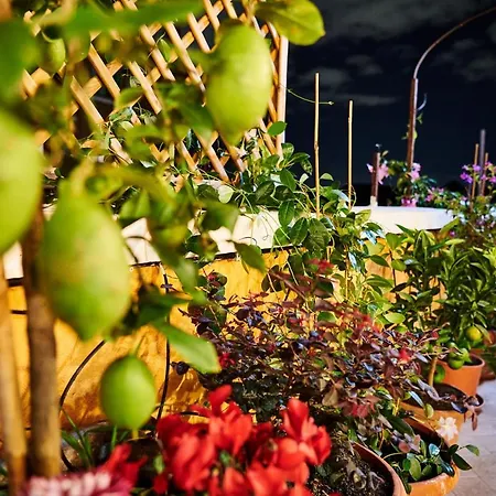 Terrace - Meospiti Penthouse Apartment Rome