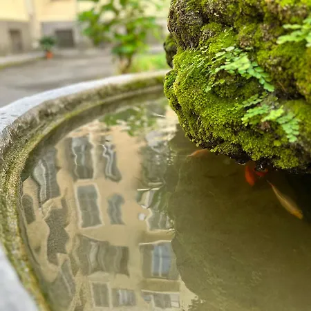 Apartament Casa Storica Anni '30: Da Fedro E Bianca *