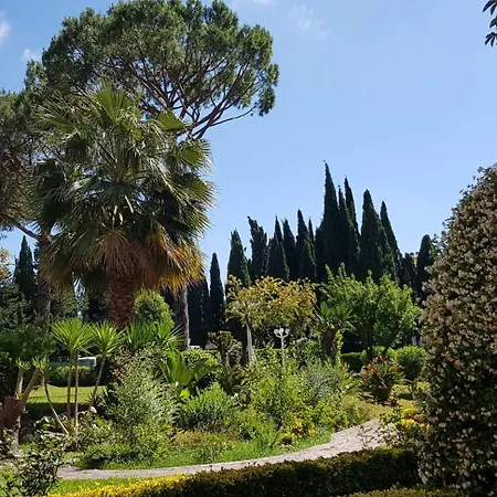 Oasis * Roma