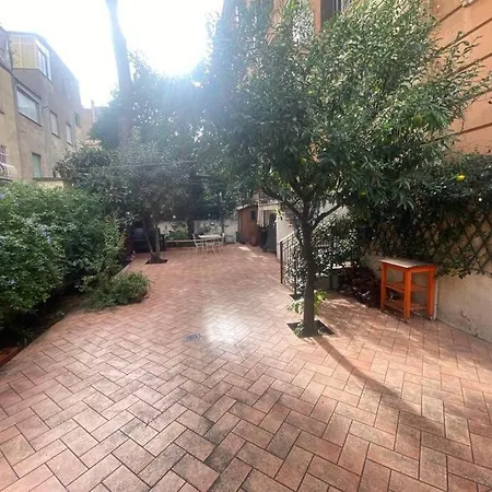 Must The Place Apartament