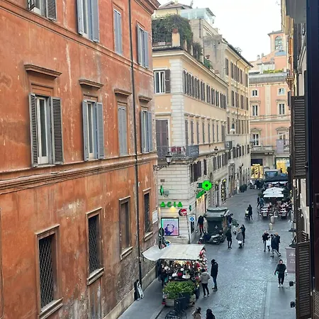 New Vite * Roma