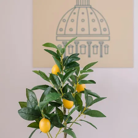 Delizioso In Zona Vaticano Apartment *