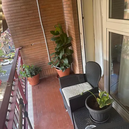 Exotic Guest house