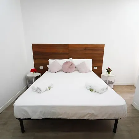 Apartment Vatican Whole 3 Private *