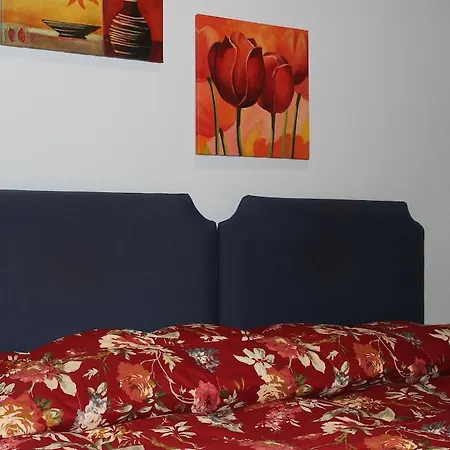 Affittacamere Salandra Roma