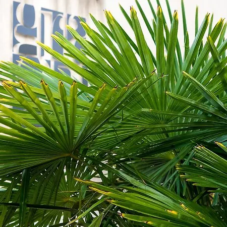 Residenza Gra 21 Aparthotel Rome