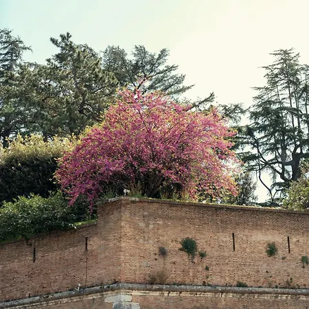 Art House Vaticano Luxury