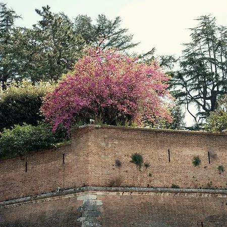 Art House Vaticano Luxury Apartamento Roma