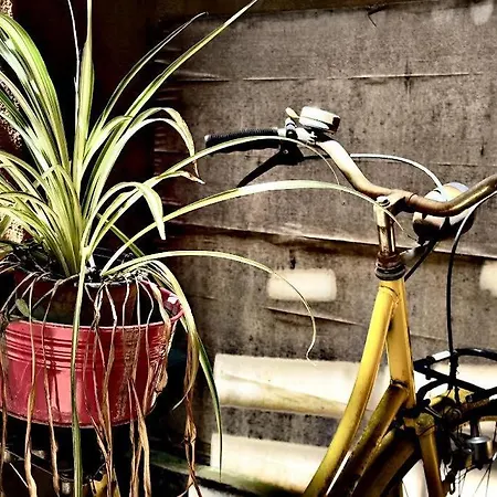 Maya Rhome Trastevere