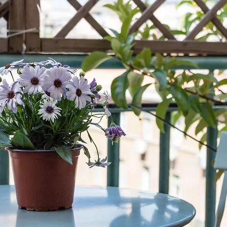 Torripa Group - Prati Guest house