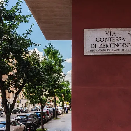 Contessa Elegance Apartment *