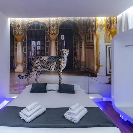 Trevi Elite Guest house Rome