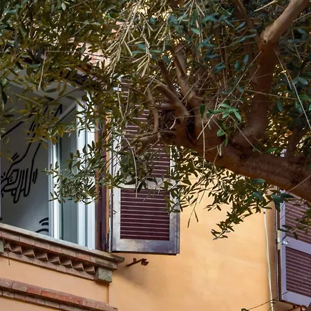 Saba Rome