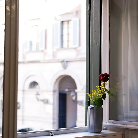 Bruno Domus Design Rome