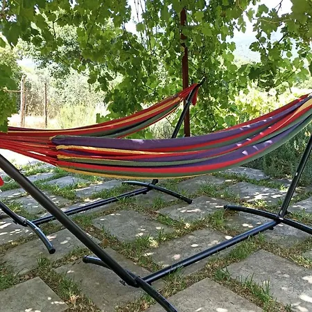 Lavanda E Rosmarino * Capolona