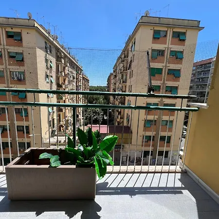 Luciano Queen's * Rome