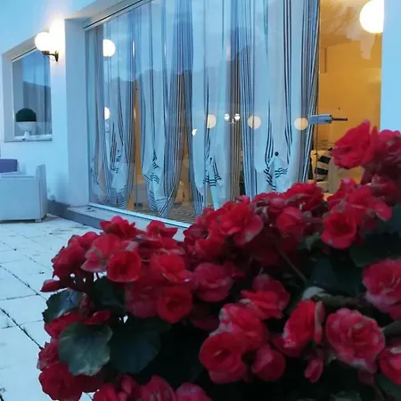 Homart Optical Swite Holiday home