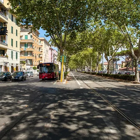 Apartment Mustard S Camillo - Homes Rom