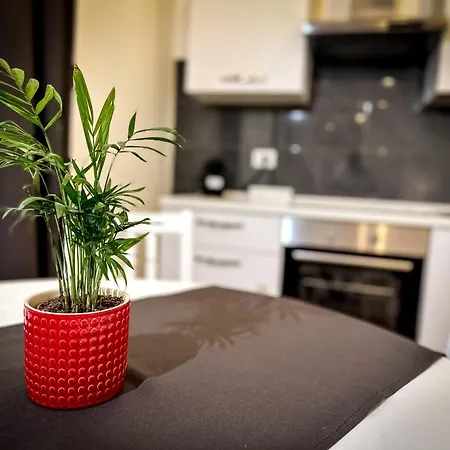 Da Rossella Apartment