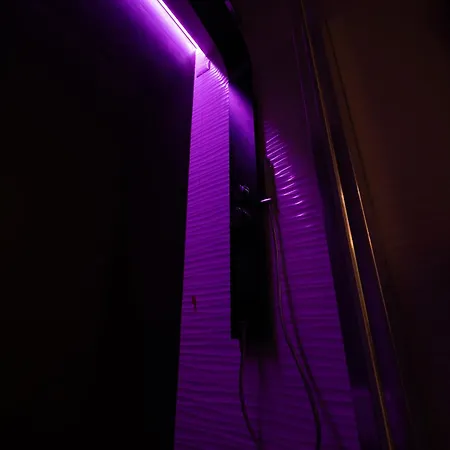 Conte House - 2