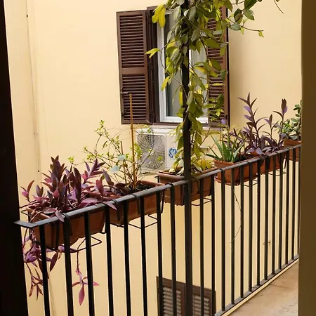 New! True-stevere Amazing Double Bed For 5 Pax