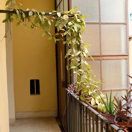 Apartment New! True-stevere Amazing Double Bed For 5 Pax *