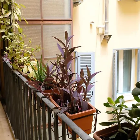 New! True-stevere Amazing Double Bed For 5 Pax Apartment *