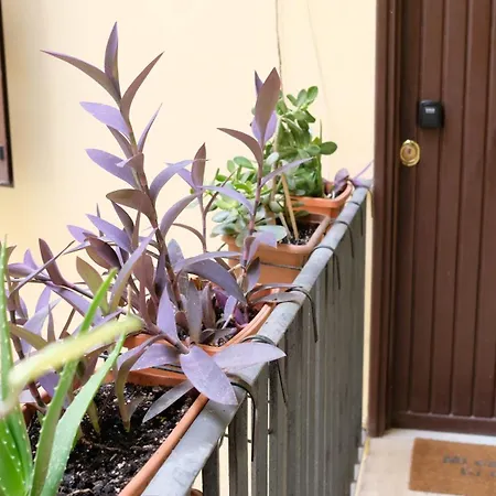 New! True-stevere Amazing Double Bed For 5 Pax