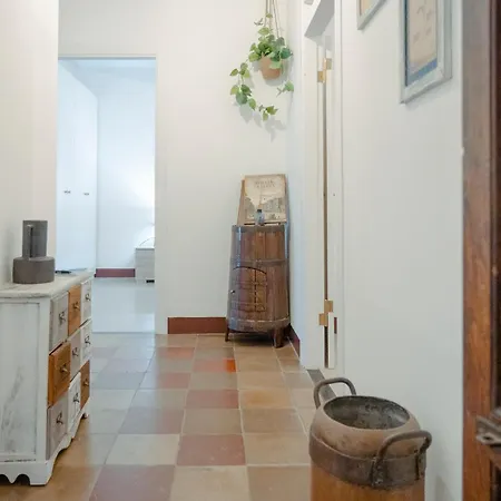Domus Superior Domizio - Pantheon Apartment *