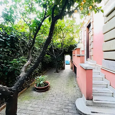 Orange Garden