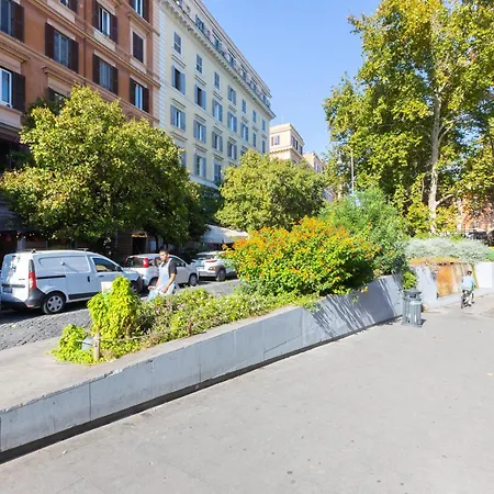 Khris - Trastevere - San Cosimato * Rome
