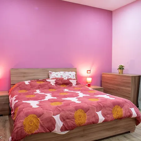 Sophie's Choice 2 Holiday home *
