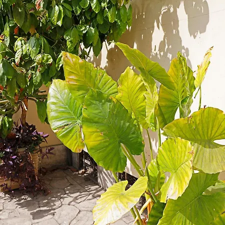 San Martino Bed & Breakfast Rome