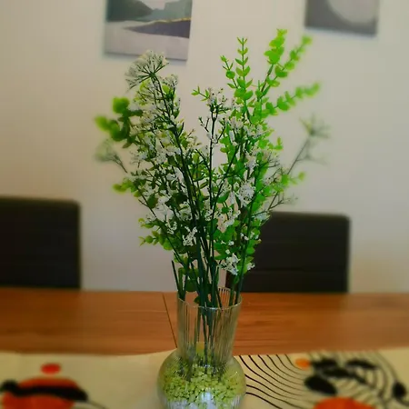 Holiday home Joy House - Vaticano *