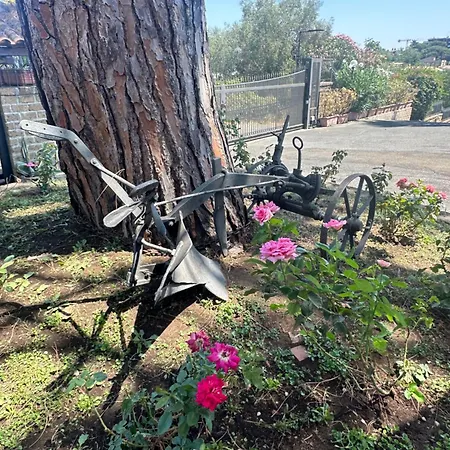 Rose Garden Park -rose-