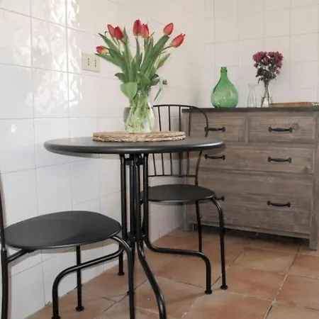 Interno 16 And Cosy