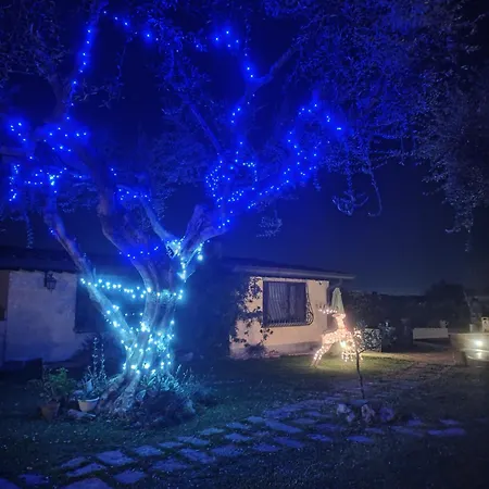 La Valle Dei Casali B&B Con Piscina E Natura A Roma Panzió 3*