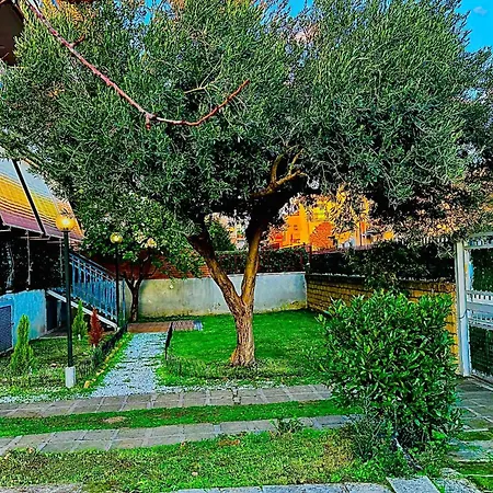 Bed & Breakfast Edemma Rome
