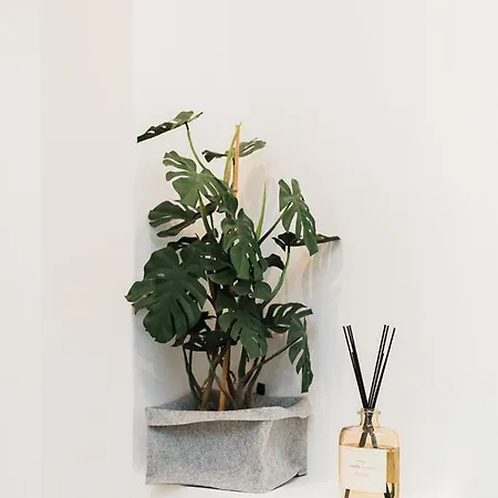 Maison Salvia *