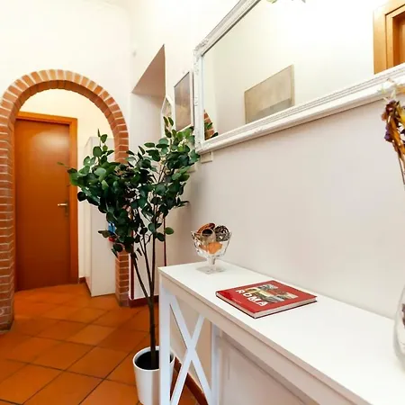 Window On Vatican Museum *