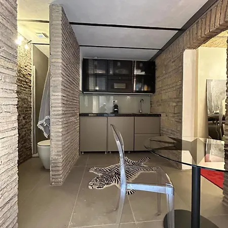 Apartment Colosseum Loft *