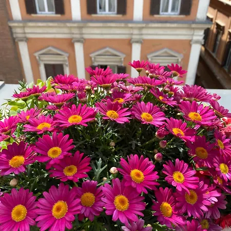 Terrazza Marco Antonio Luxury Pensión Roma