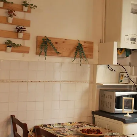 Bed & Breakfast Daffodil In San Pietro